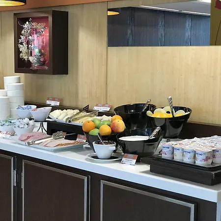 酒店 快捷假日巴黎加纳尔德拉维莱特酒店 3*